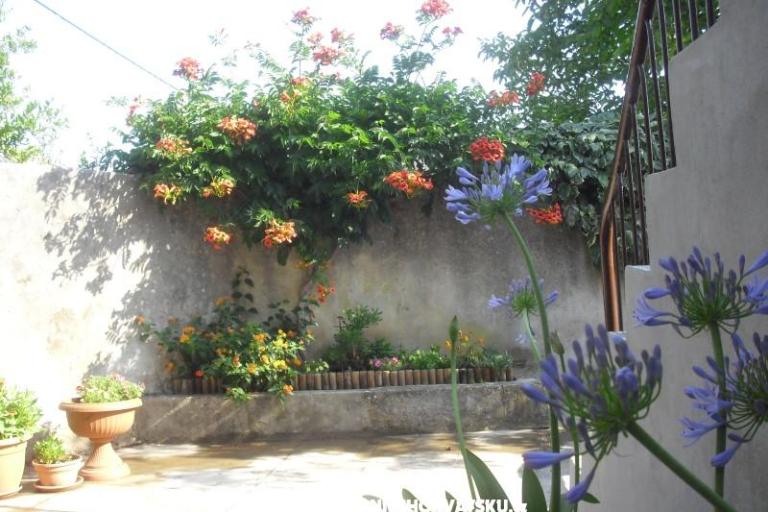 Apartman Jerkunica – fotó 8