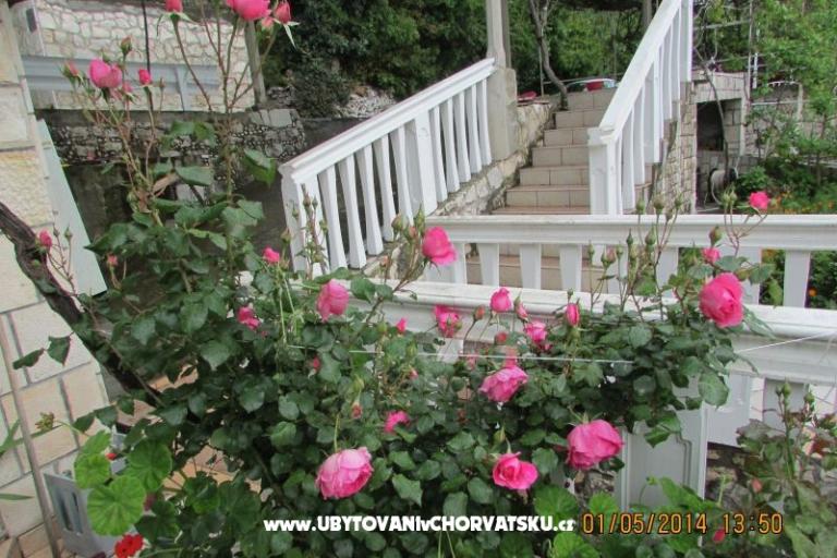 Apartmanok  Anka – fotó 17