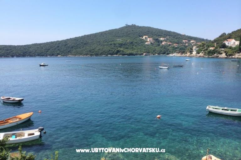 Apartmanok Antunović – fotó 11