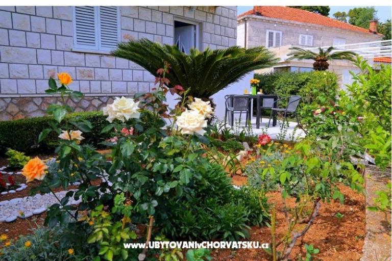 Apartmanok LOVE DUBROVNIK – fotó 14
