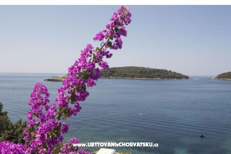 Apartmanok Rašica – fotó 5
