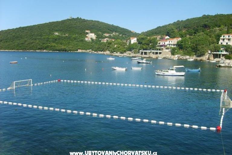 Apartmanok Vidak – fotó 9