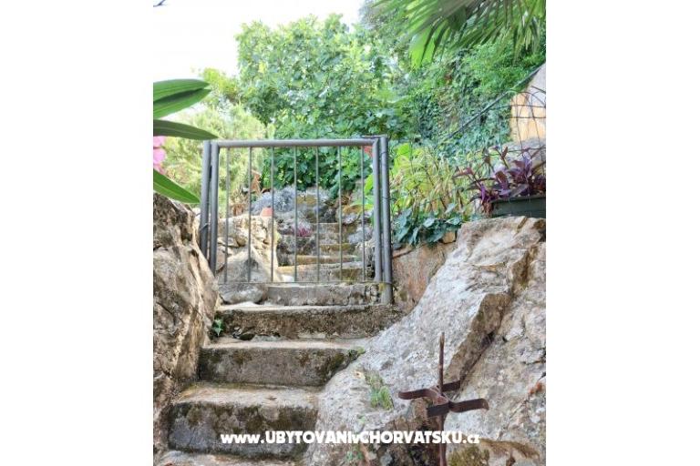 Apartmanok Villa Riva Molunat – fotó 17