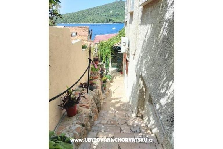Apartmanok Villa Riva Molunat – fotó 9