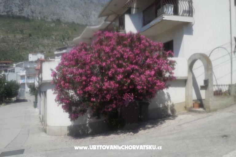 Apartman Pero – fotó 3