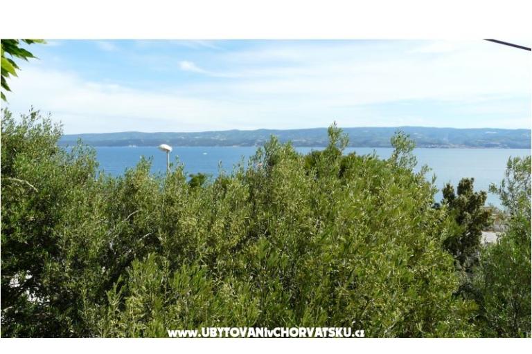 Sara – fotó 18