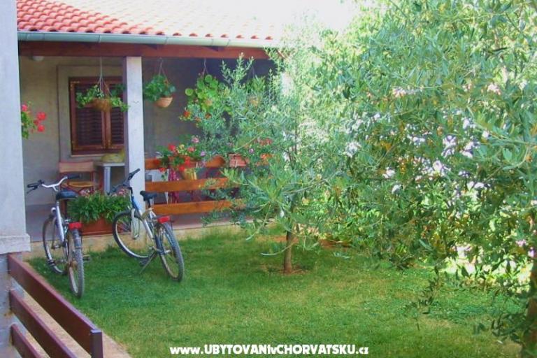 Apartmanok Danica – fotó 4