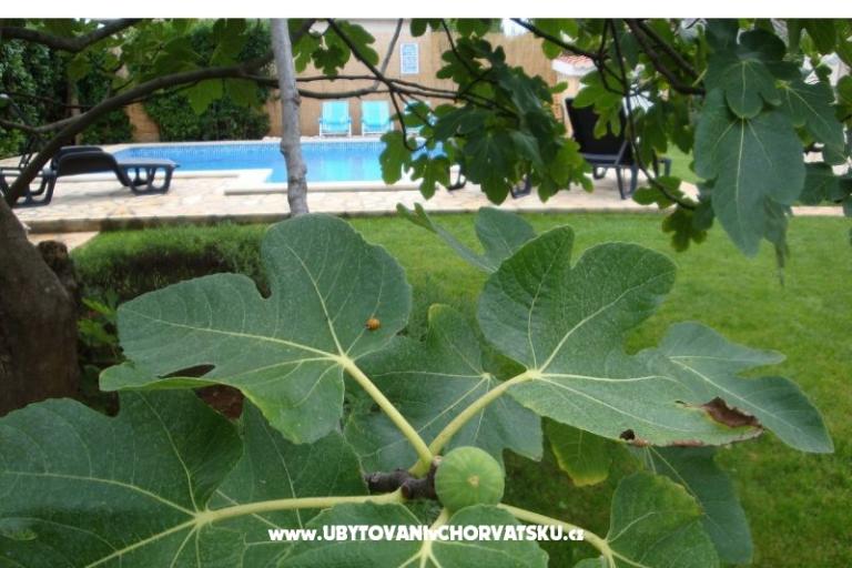 Apartmanok Dorijo – fotó 8