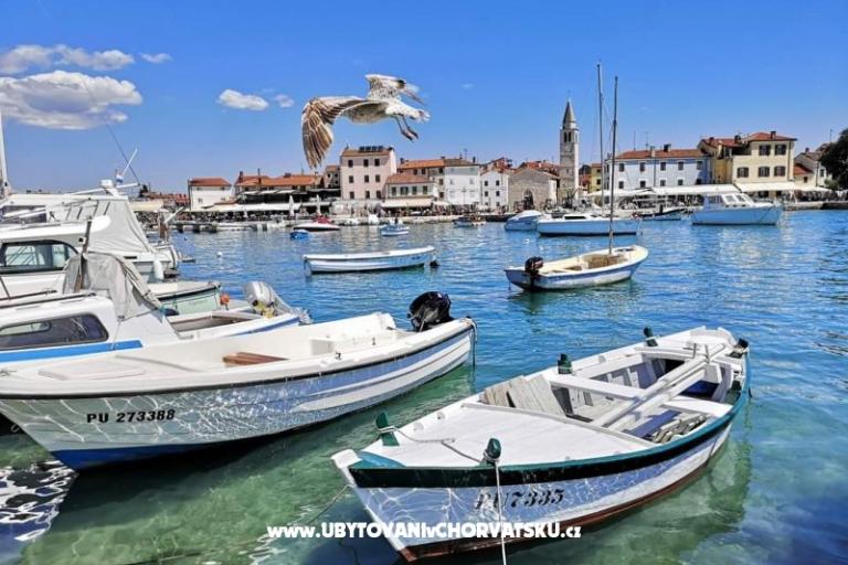 Apartmanok Mishel – fotó 19