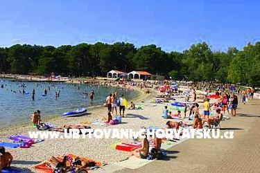 Apartman Zoran - Valbandon  – fotó 10