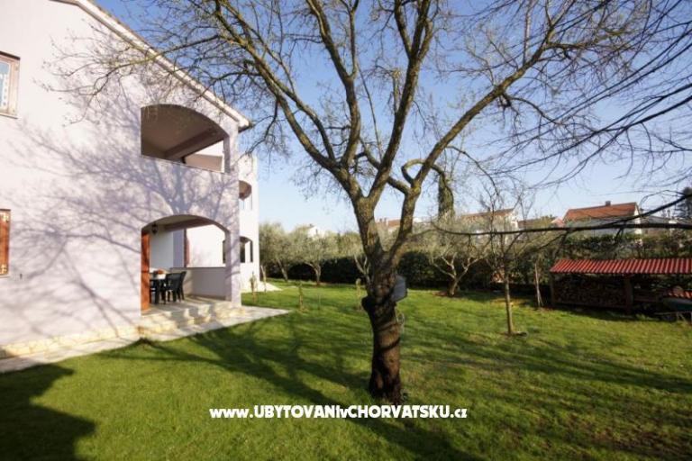 Apartmanok PETRA – fotó 5