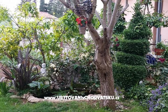 Apartman Ljuba – fotó 2