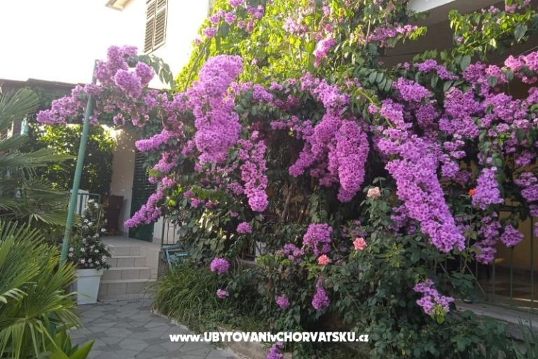 Apartmanok Majica – fotó 6