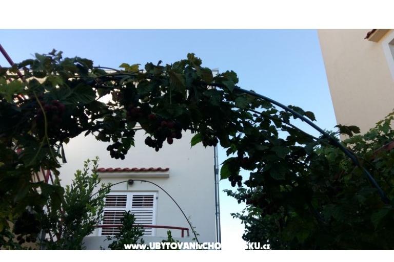 Apartmanok Matej – fotó 14