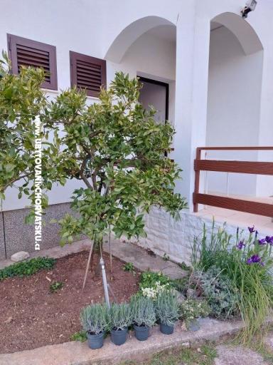 Vakáció - Apartman Milka – fotó 14