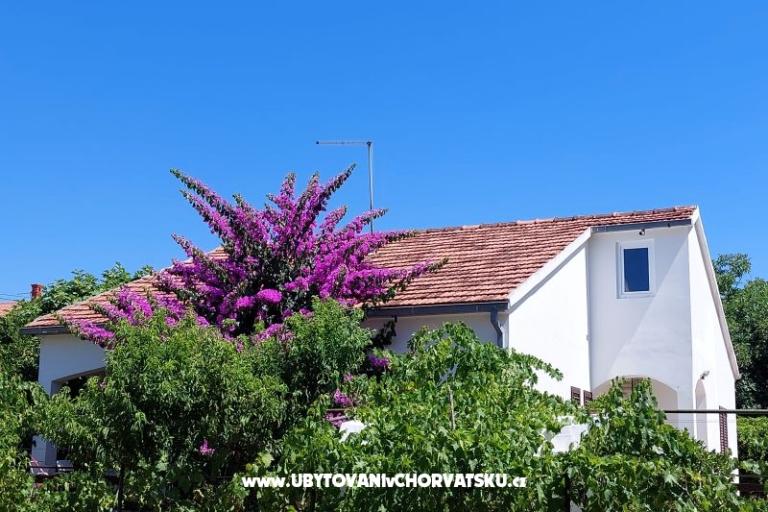 Vakáció - Apartman Milka – fotó 2