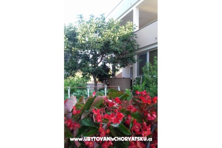 Apartman   " ARZENŠEK " – fotó 12