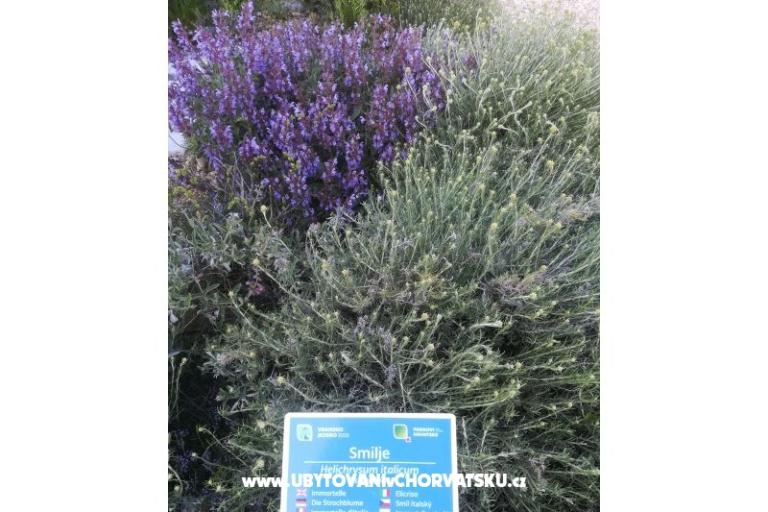 Apartmanok Colić – fotó 14