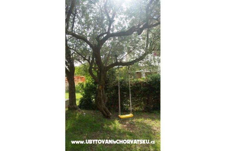 Apartmanok Dijana – fotó 5