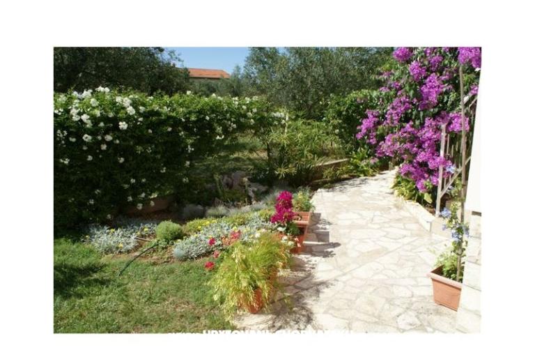 Apartmanok Vodopija 50eur/2 os – fotó 6