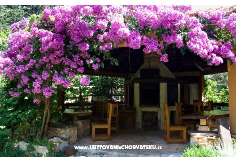 Apartmanok PARK – fotó 20