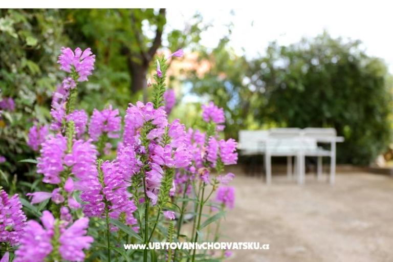 Apartmanok M – fotó 8