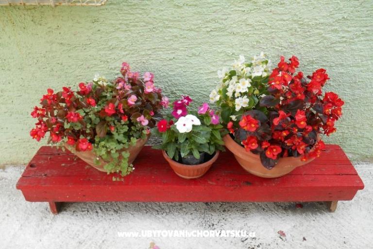 Apartmanok Mirjana – fotó 12