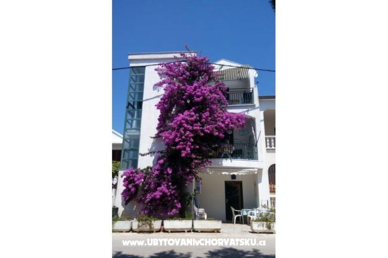 Apartman Ratka Bolic – fotó 16