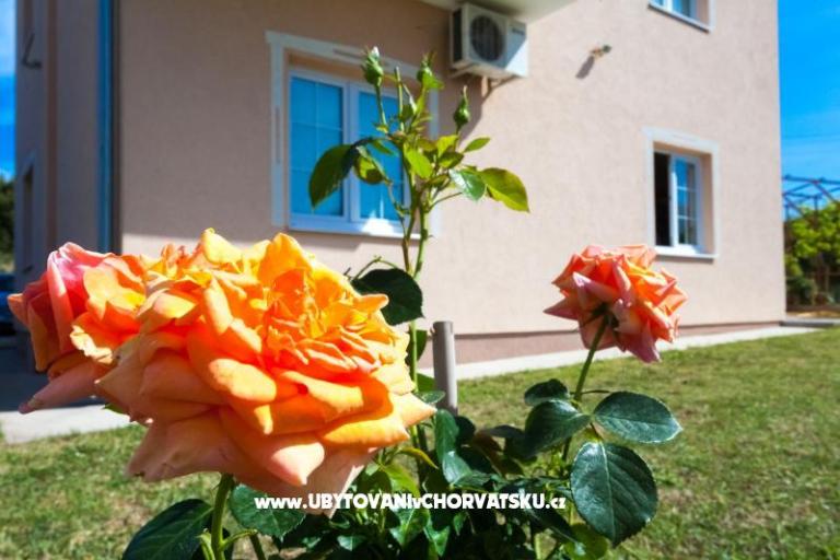 Apartmanok Sea view – fotó 2