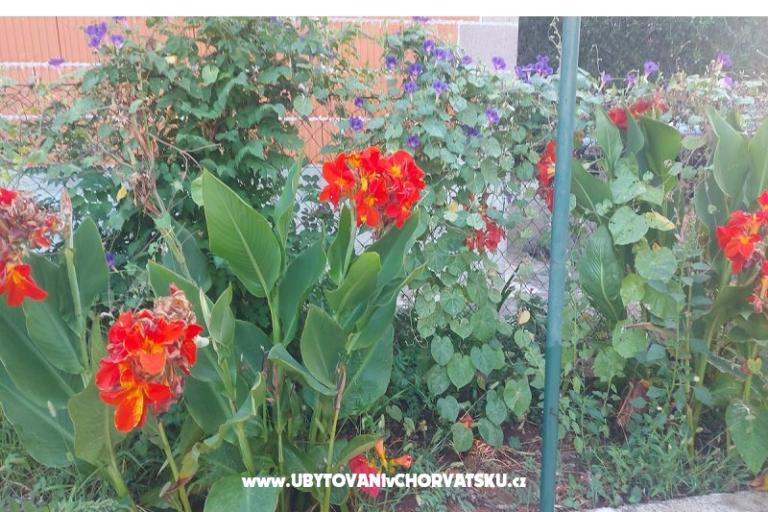 Apartmanok Misulic Turanj – fotó 16