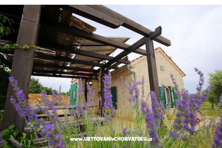 Olive Garden Paljka – fotó 10