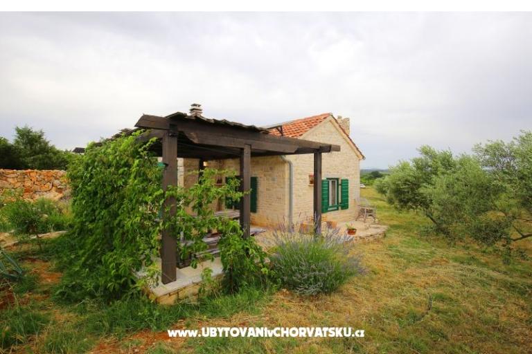 Olive Garden Paljka – fotó 14