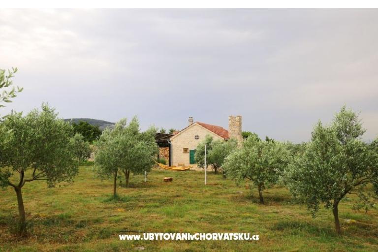 Olive Garden Paljka – fotó 17