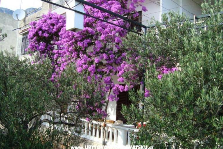 Apartman Gradac Falak – fotó 13