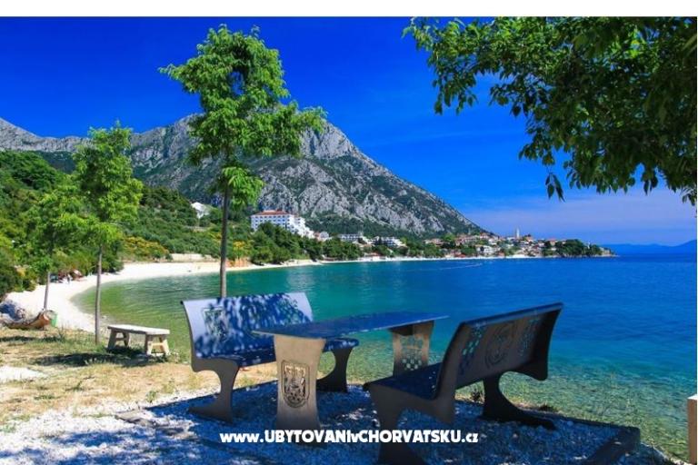Apartmanok Delfin – fotó 11