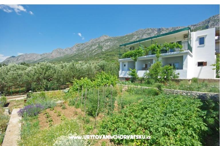 Apartmanok i sobe Maslina – fotó 12
