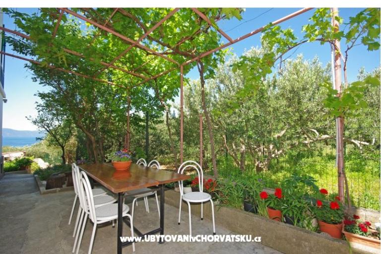 Apartmanok i sobe Maslina – fotó 16