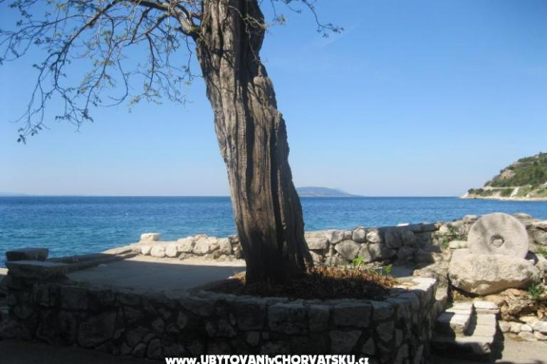 Apartman Ines – fotó 9