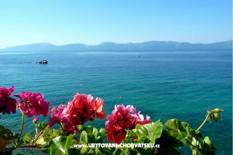 Apartmanok Martina – fotó 16