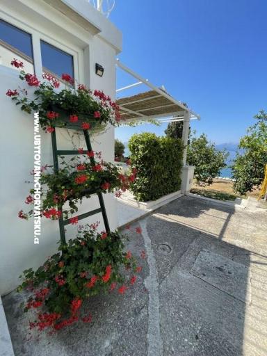 Apartmanok Mimoza – fotó 14
