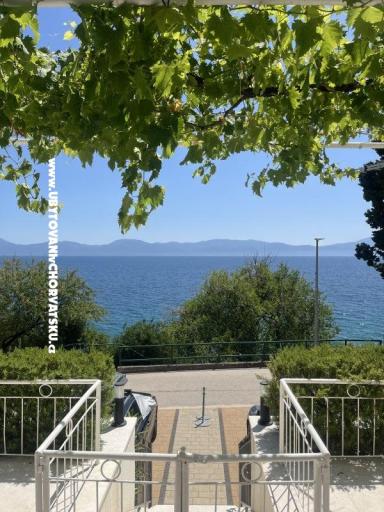 Apartmanok NIKOLA – fotó 17