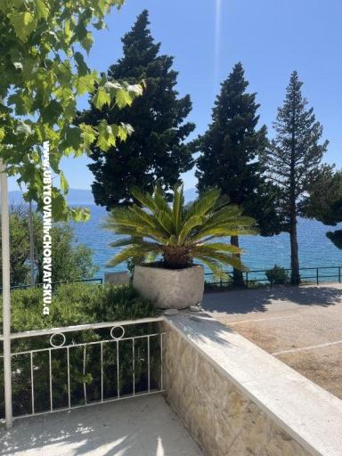 Apartmanok NIKOLA – fotó 3