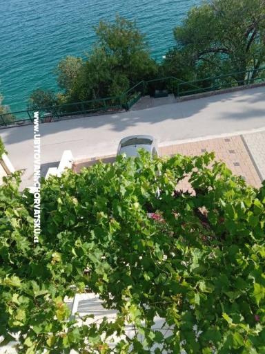 Apartmanok Lela Brist – fotó 12