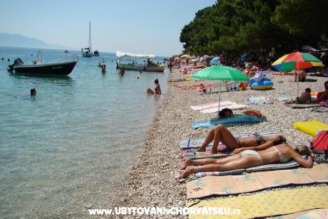 Apartmanok Bonaca – fotó 8