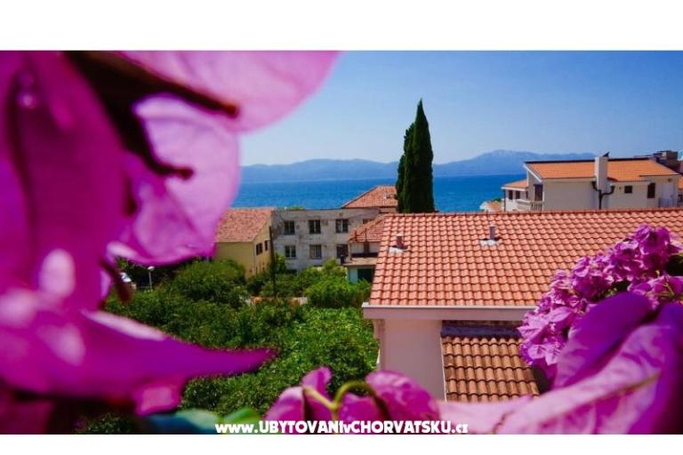 Apartmanok Jerković Gradac – fotó 8