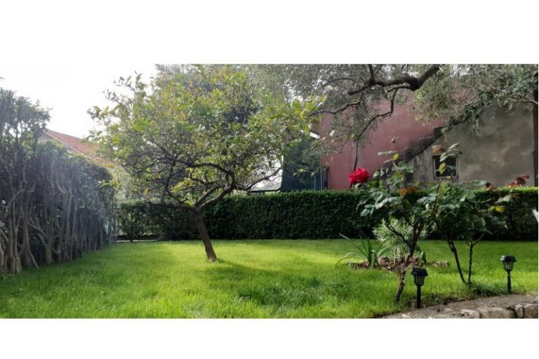 Apartman Toth – fotó 9