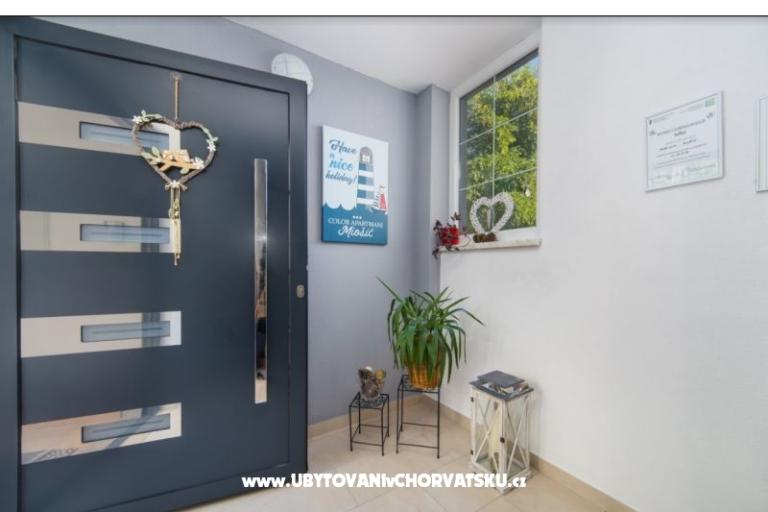 Color Apartmanok Miošić – fotó 8