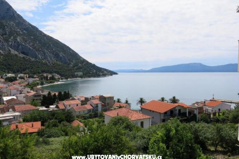 Apartmanok Gradina – fotó 5