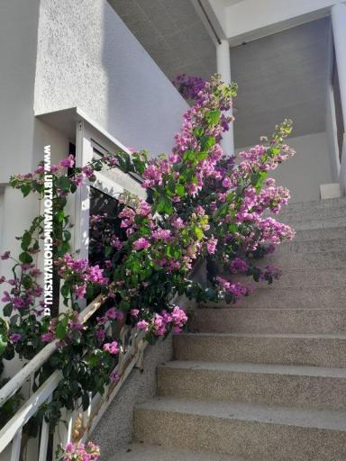 Szobák Katja Gradac center – fotó 18