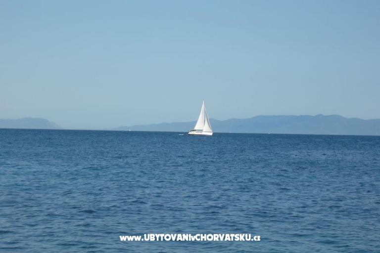 ART AND NATURE  – fotó 13